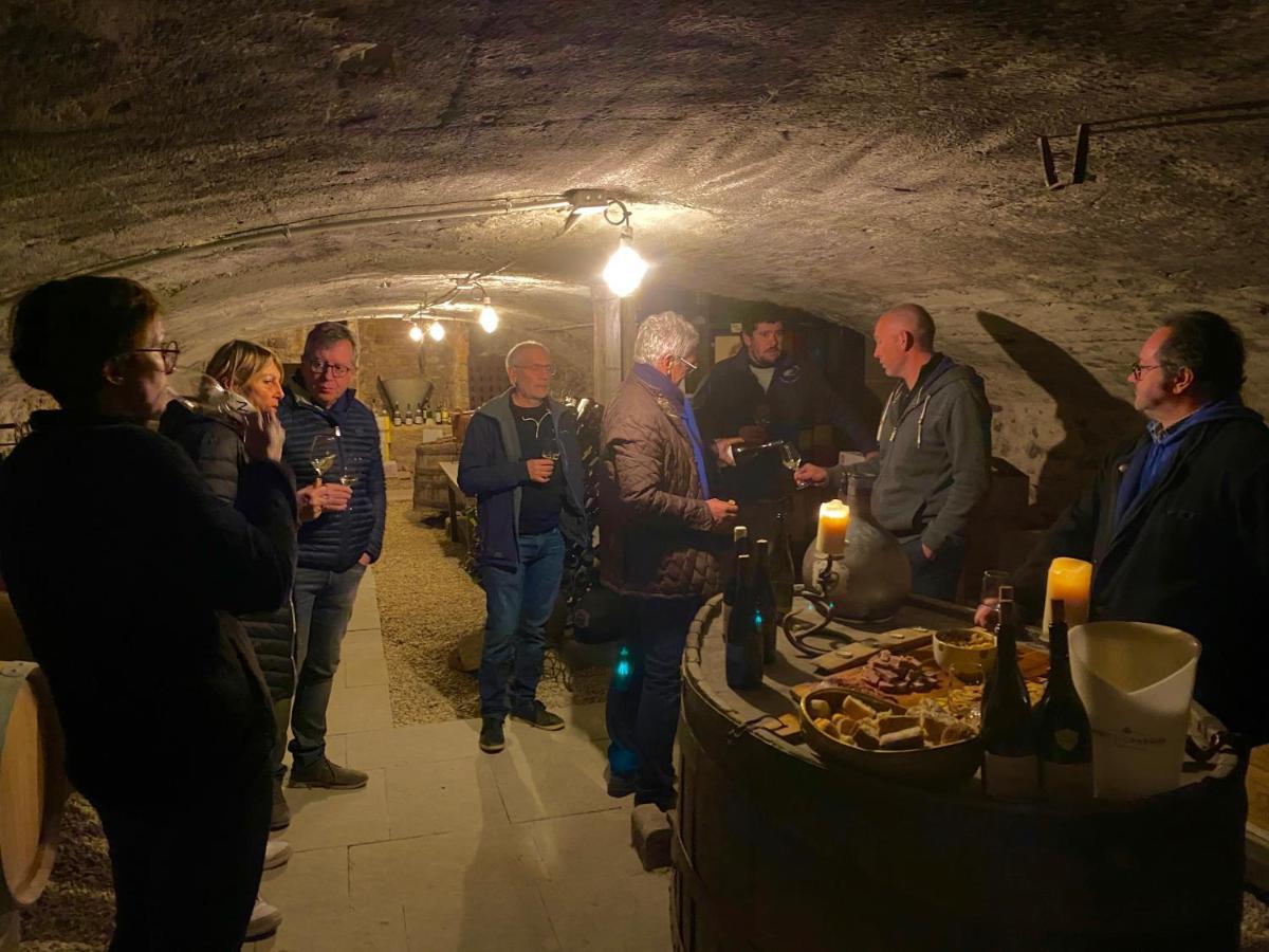 Chateau Des Janroux Juliénas المظهر الخارجي الصورة